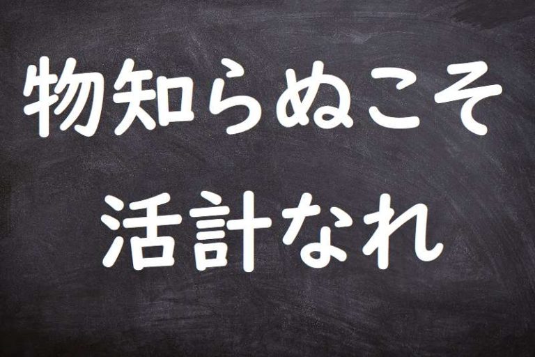 物知らぬこそ活計なれ（ものしらぬこそかっけいなれ） ことわざ・格言・故事一覧
