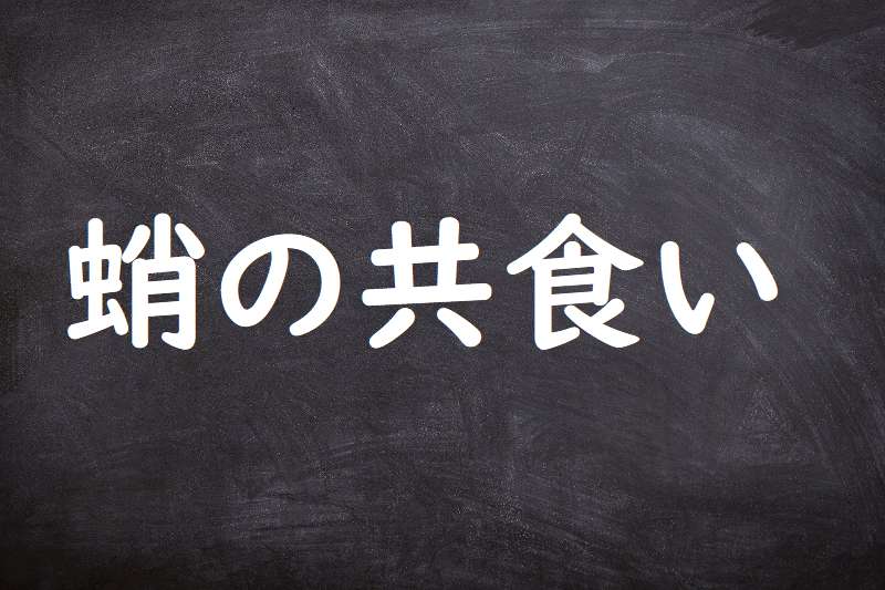 蛸の共食い