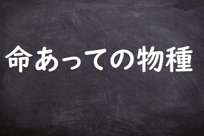 命あっての物種（いのちあってのものだね）