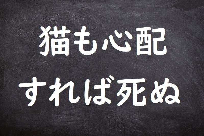 猫も心配すれば死ぬ