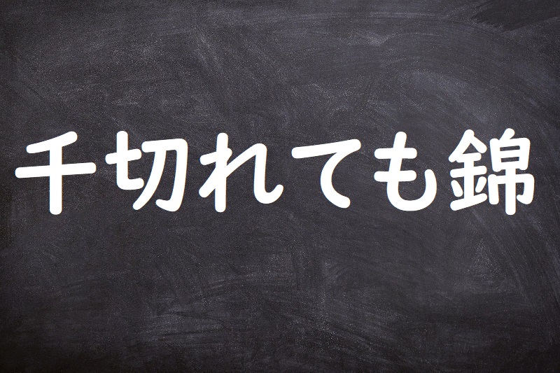 千切れても錦（ちぎれてもにしき）