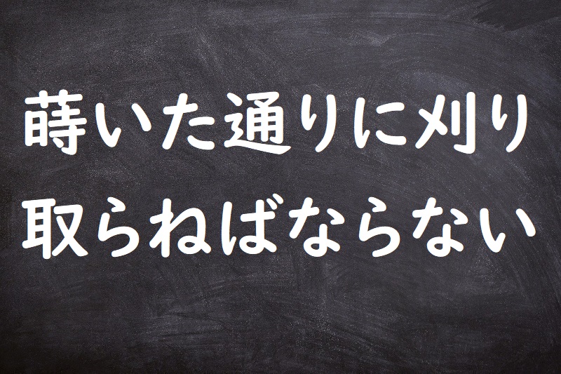 蒔いた通りに刈り取らねばならない