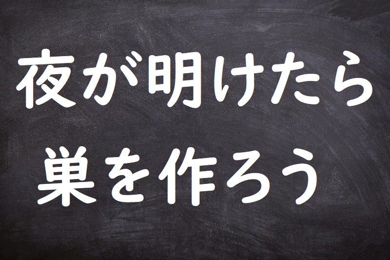 夜が明けたら巣を作ろう