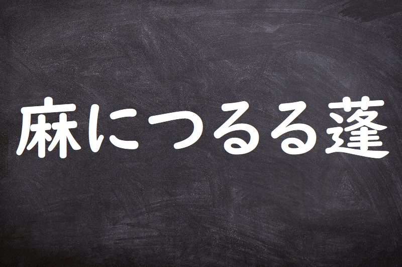 麻につるる蓬（あさにつるるよもぎ）