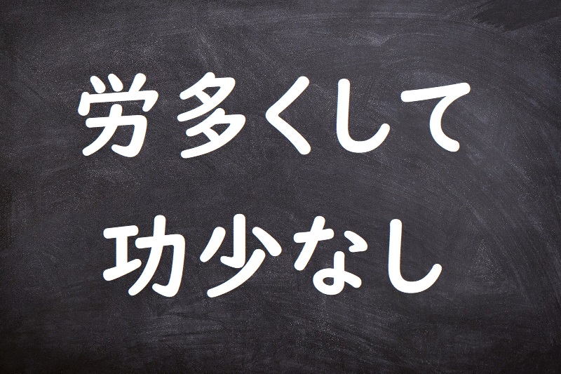 労多くして功少なし（ろうおおくしてこうすくなし）