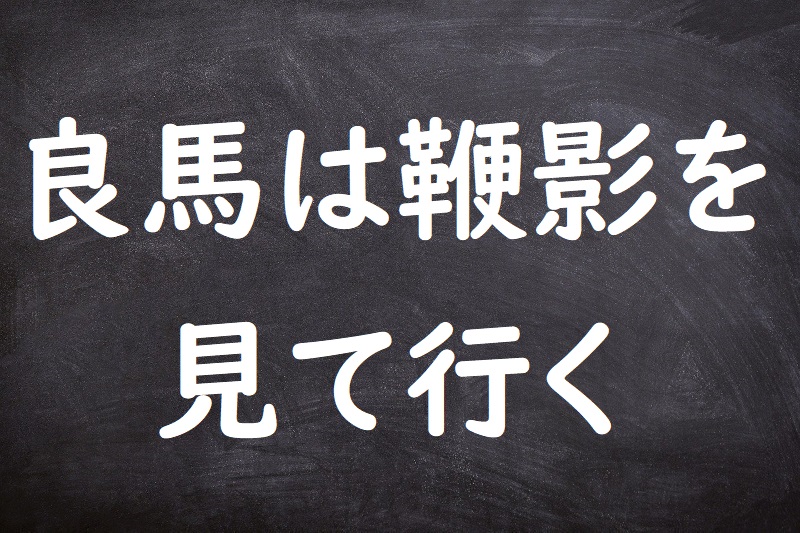 良馬は鞭影を見て行く（りょうばはべんえいをみていく）