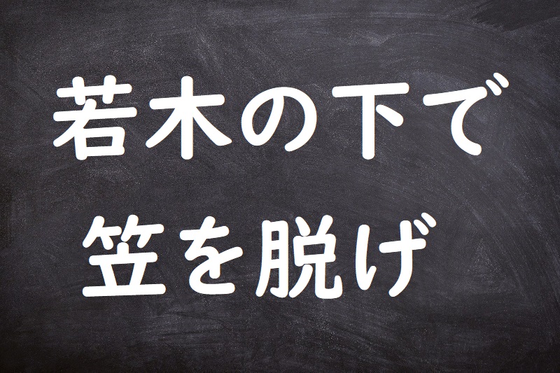 若木の下で笠を脱げ（わかぎのしたでかさをぬげ）