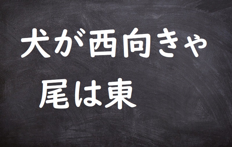 犬が西向きゃ尾は東（いぬがにしむきゃおはひがし）