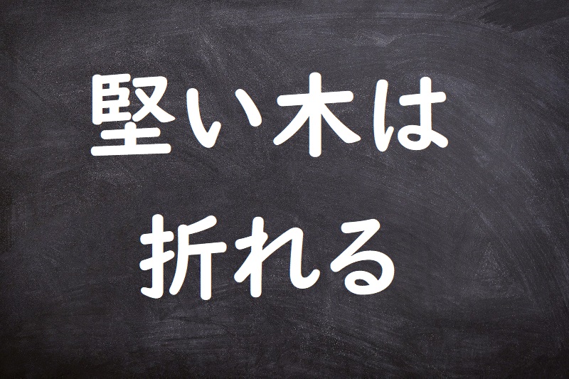 堅い木は折れる