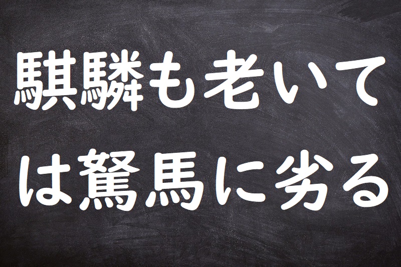 騏驎も老いては駑馬に劣る（きりんもおいてはどばにおとる）