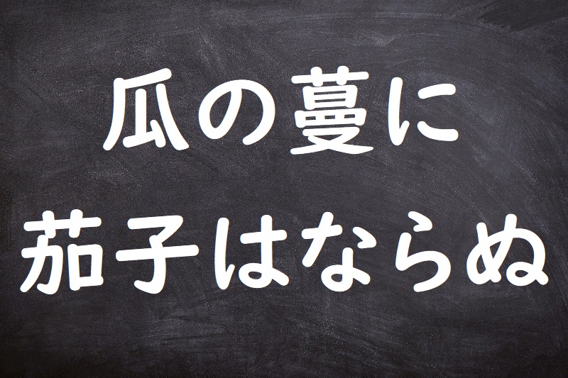 瓜の蔓に茄子はならぬ（うりのつるになすびはならぬ）