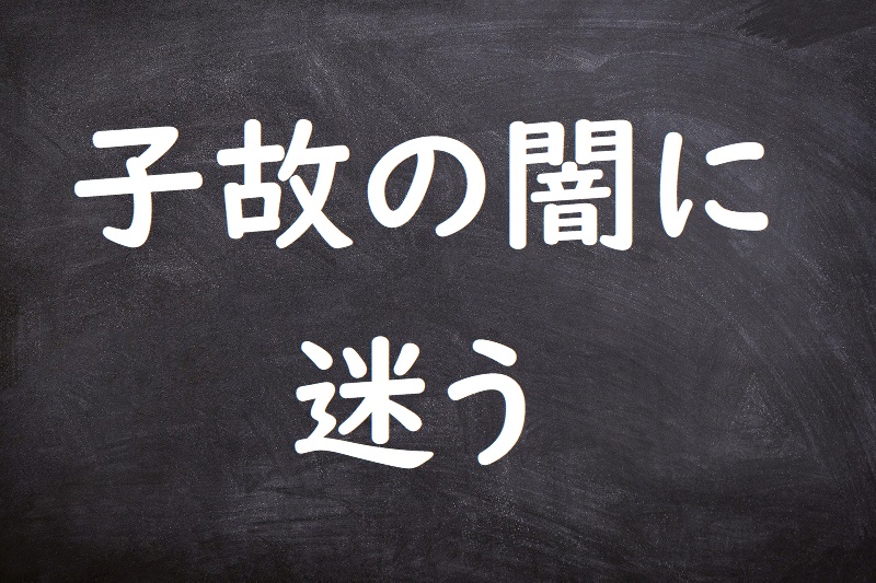 子故の闇に迷う（こゆえのやみにまよう）