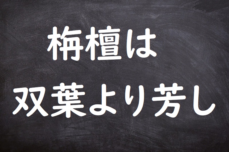 栴檀は双葉より芳し（せんだんはふたばよりかんばし）