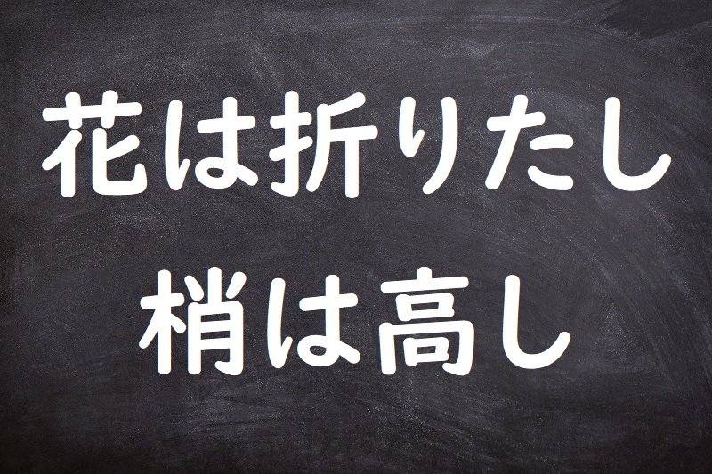 花は折りたし梢は高し（はなはおりたしこずえはたかし）