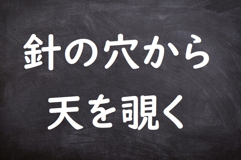 針の穴から天を覗く