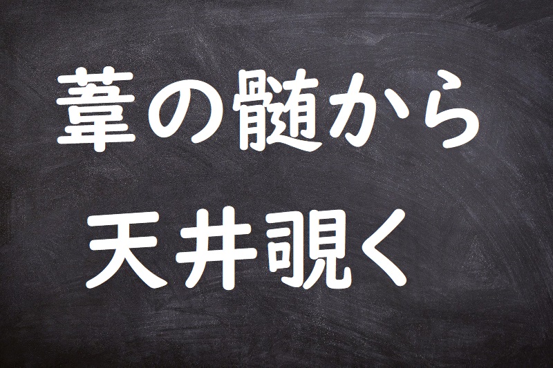 葦の髄から天井覗く（よしのずいからてんじょうのぞく）