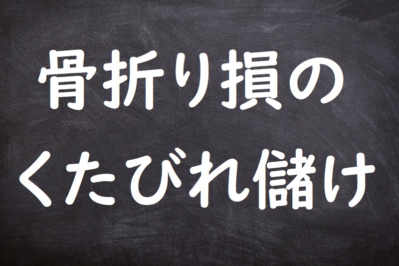 骨折り損のくたびれ儲け（ほねおりぞんのくたびれもうけ）