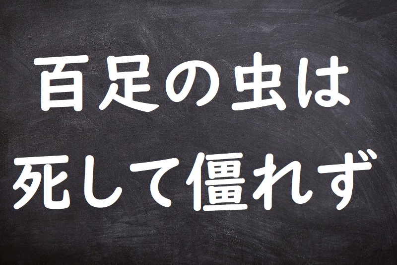 百足の虫は死して僵れず（ひゃくそくのむしはししてたおれず）