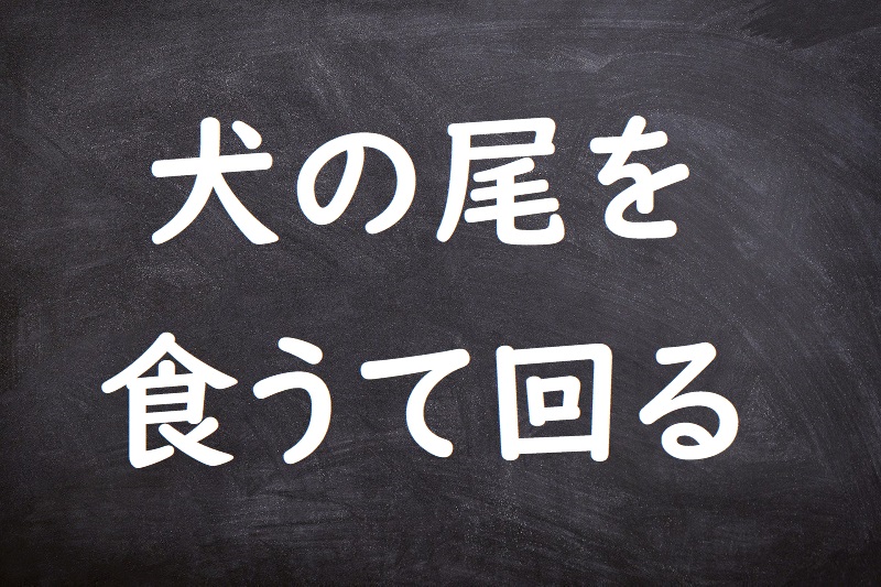 犬の尾を食うて回る（いぬのおをくうてまわる）