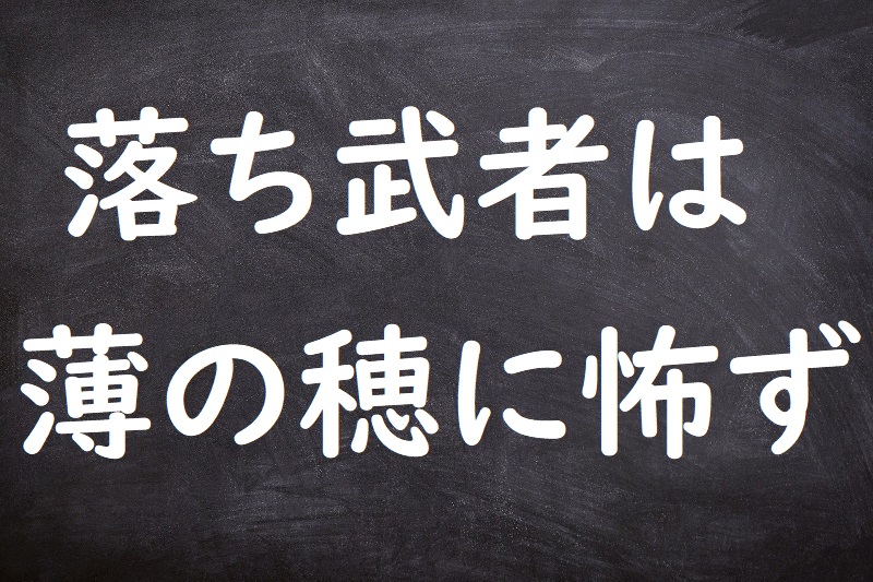 落ち武者は薄の穂に怖ず（おちむしゃはすすきのほにおず）