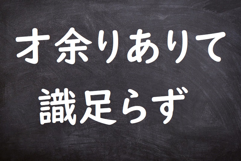 才余りありて識足らず（さいあまりありてしきたらず）