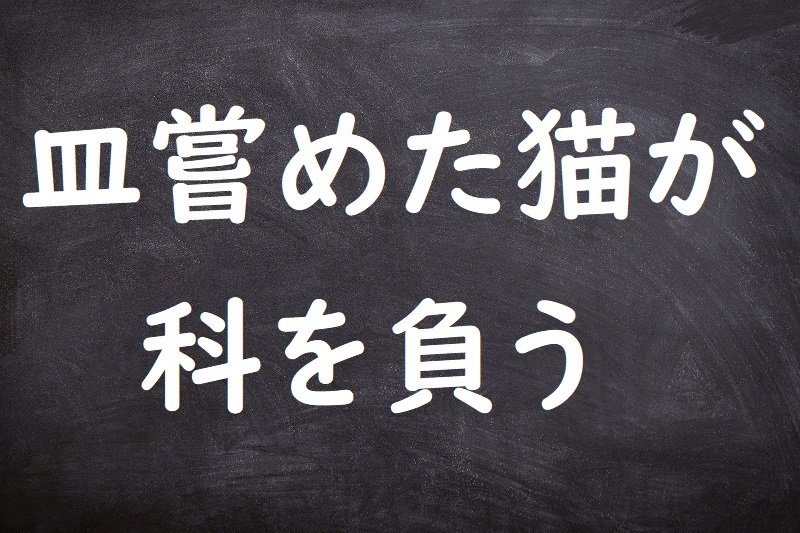 皿嘗めた猫が科を負う（さらなめたねこがとがをおう）