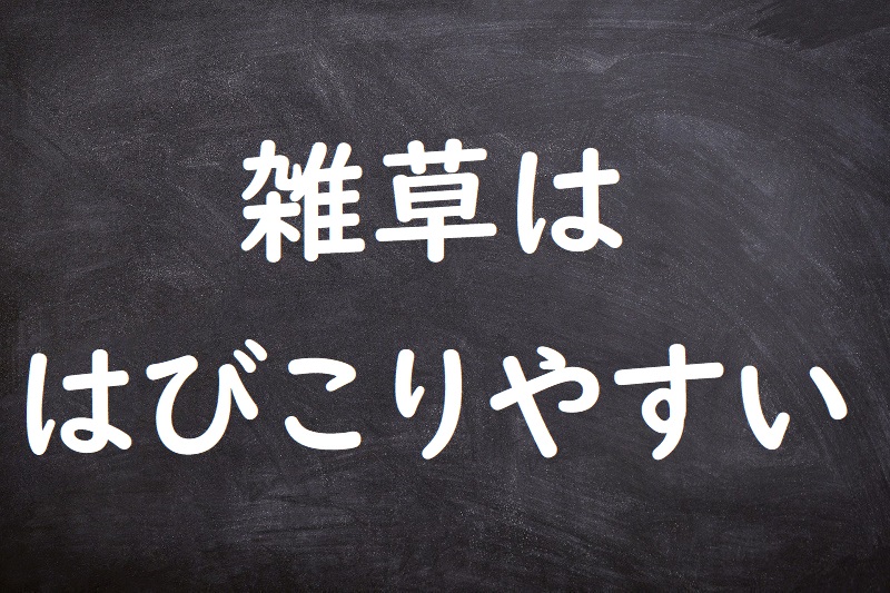 雑草ははびこりやすい