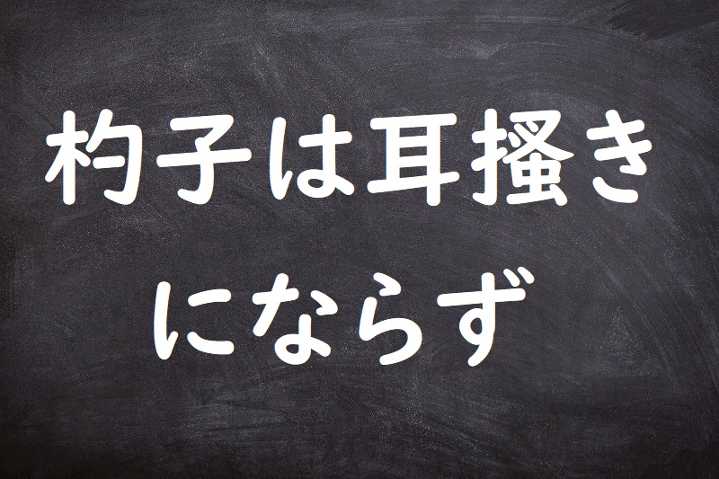 杓子は耳搔きにならず（しゃくしはみみかきにならず）