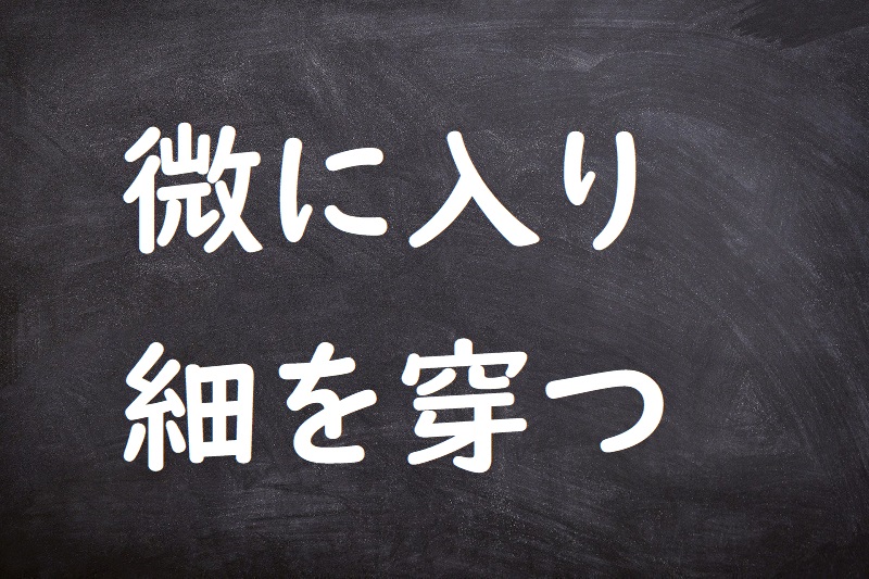 微に入り細を穿つ（びにいりさいをうがつ）