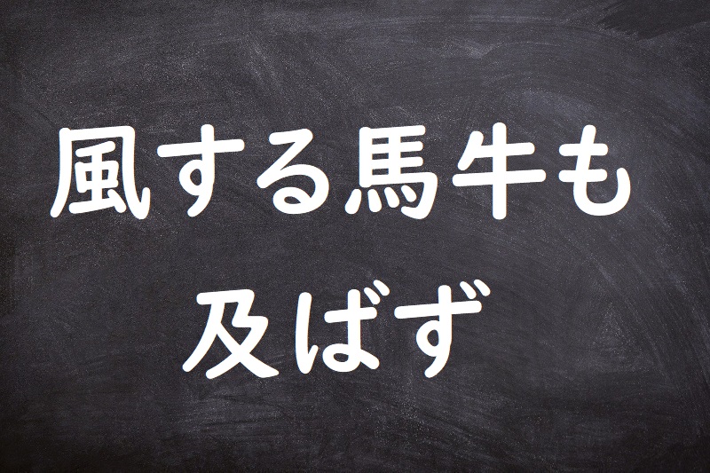 風する馬牛も及ばず（ふうするばぎゅうもおよばず）