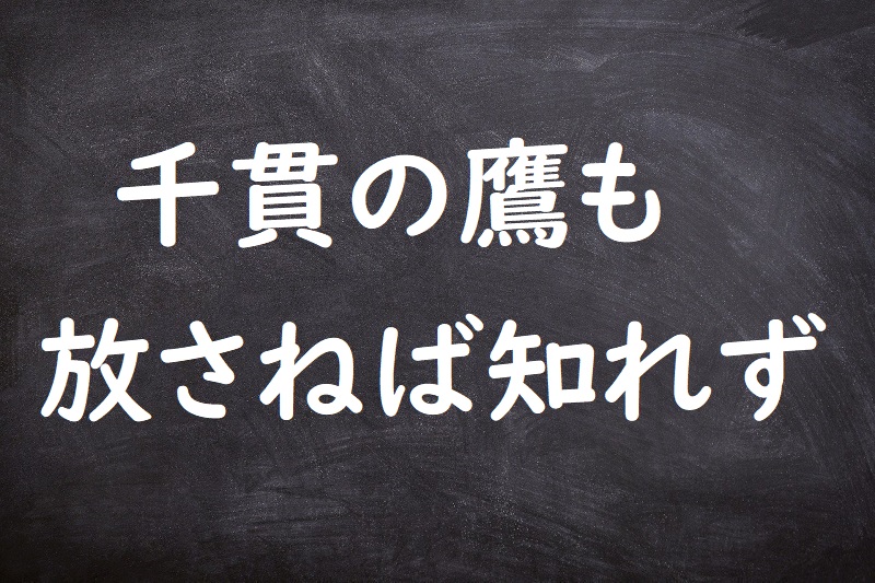 千貫の鷹も放さねば知れず（せんがんのたかもはなさねばしれず）