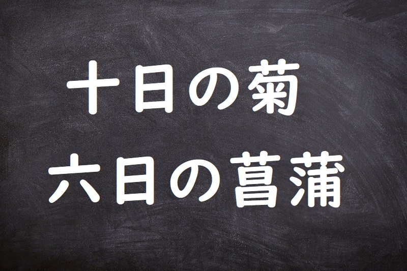 十日の菊六日の菖蒲（とおかのきくむいかのあやめ）