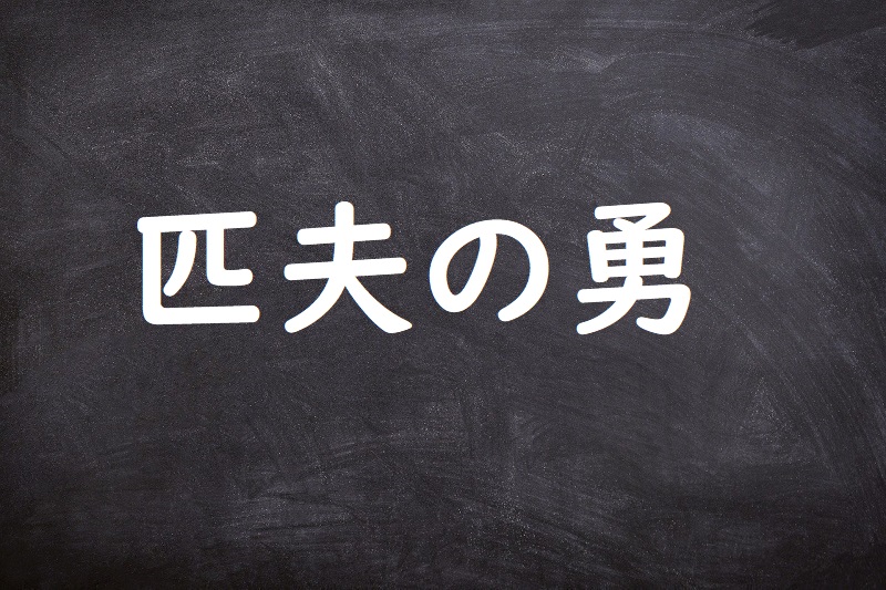 匹夫の勇（ひっぷのゆう）