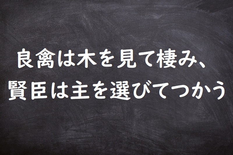 良禽は木を見て棲み、賢臣は主を選びてつかう