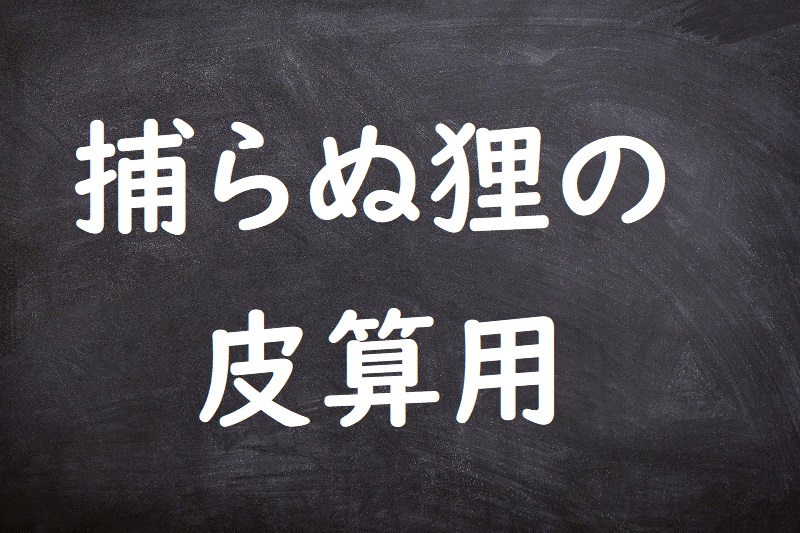 捕らぬ狸の皮算用（とらぬたぬきのかわざんよう）