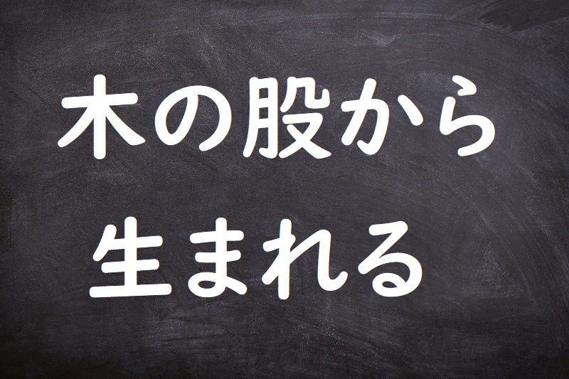 木の股から生まれる（きのまたからうまれる）