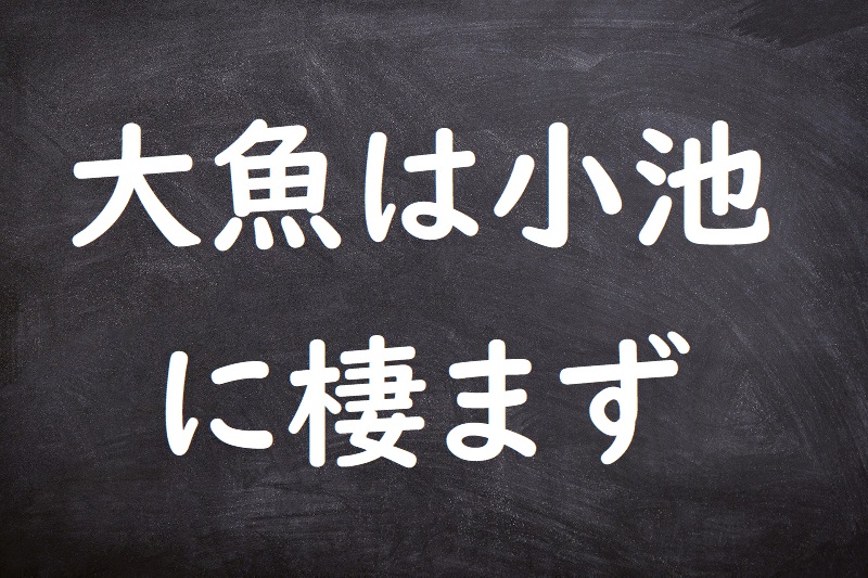 大魚は小池に棲まず（たいぎょはしょうちにすまず）