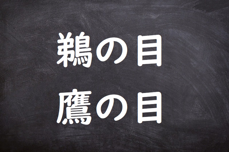 鵜の目鷹の目（うのめたかのめ）