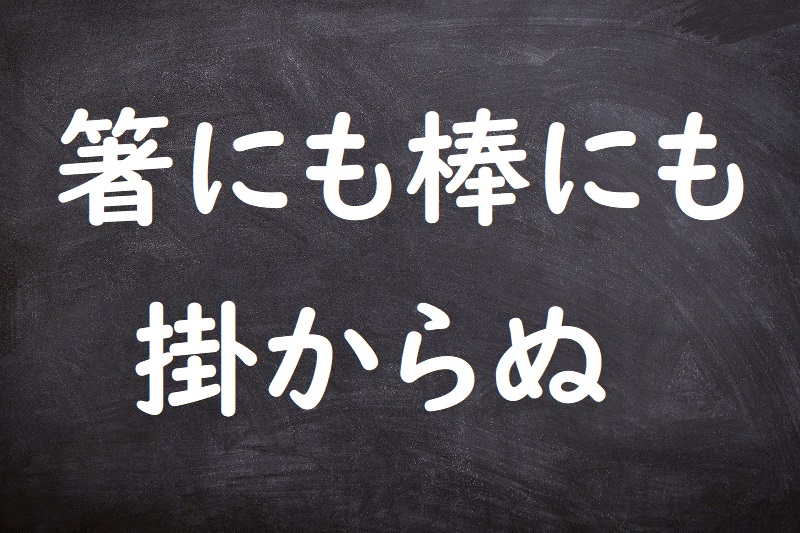 箸にも棒にも掛からぬ（はしにもぼうにもかからぬ）