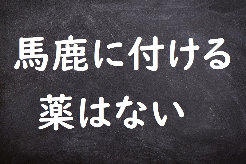 馬鹿に付ける薬はない（ばかにつけるくすりはない）