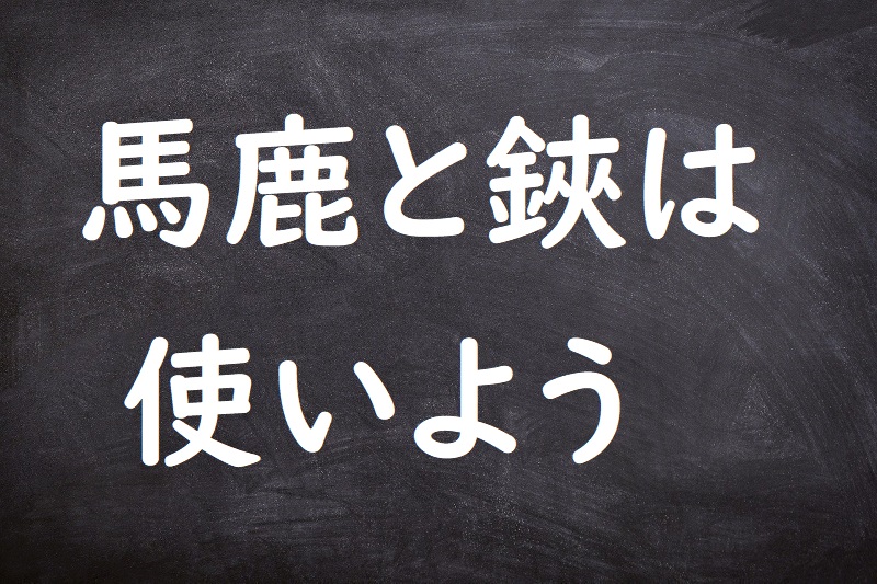 馬鹿と鋏は使いよう（ばかとはさみはつかいよう）