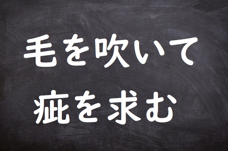 毛を吹いて疵を求む（けをふいてきずをもとむ）