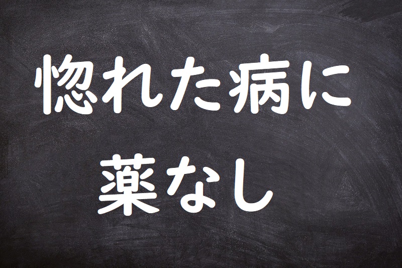 惚れた病に薬なし（ほれたやまいにくすりなし）