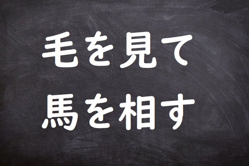 毛を見て馬を相す（けをみてうまをそうす）