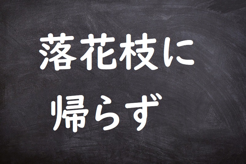 落花枝に帰らず（らっかえだにかえらず）