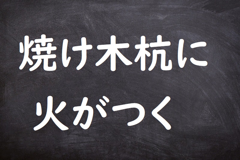 焼け木杭に火がつく（やけぼっくいにひがつく）