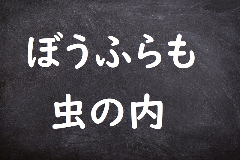 ぼうふらも虫の内（ぼうふらもむしのうち）