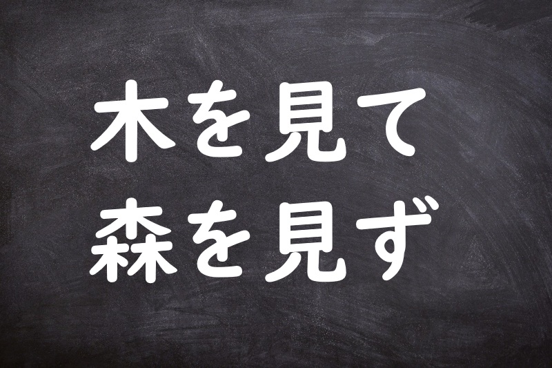 木を見て森を見ず（きをみてもりをみず）
