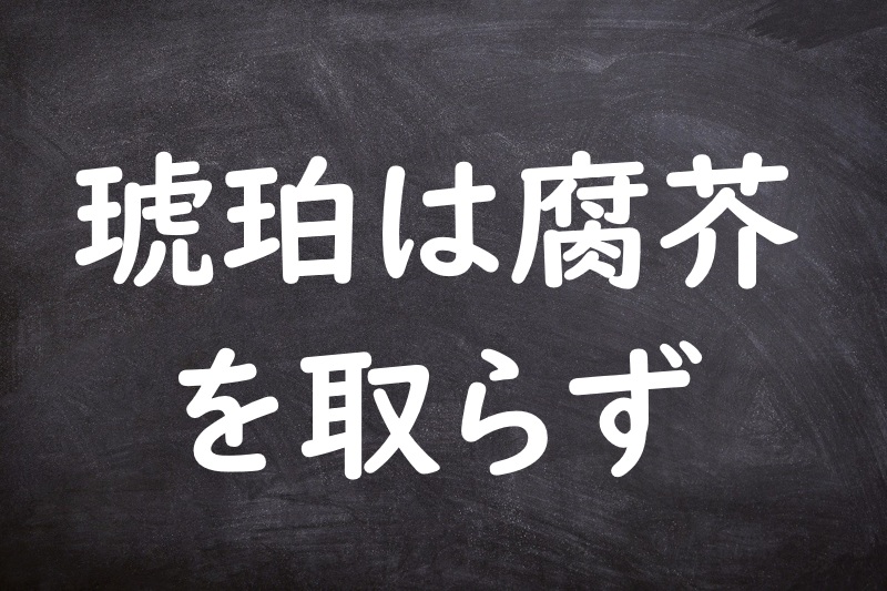 琥珀は腐芥を取らず（こはくはふかいをとらず）