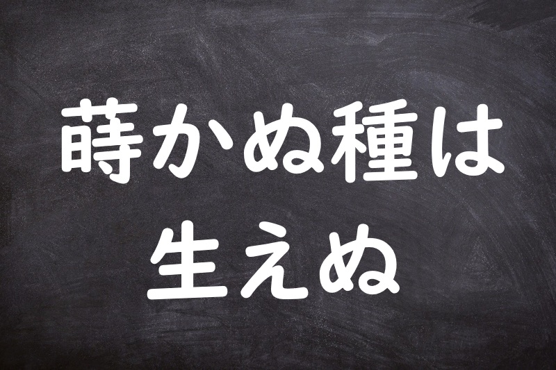 蒔かぬ種は生えぬ（まかぬたねははえぬ）